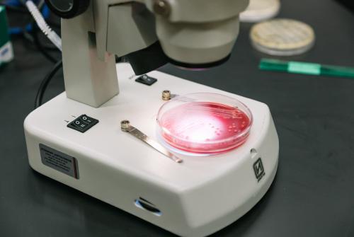 用红光照亮标本的显微镜